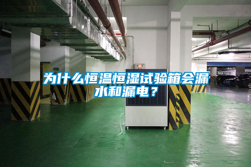 為什么恒溫恒濕試驗箱會(huì )漏水和漏電？
