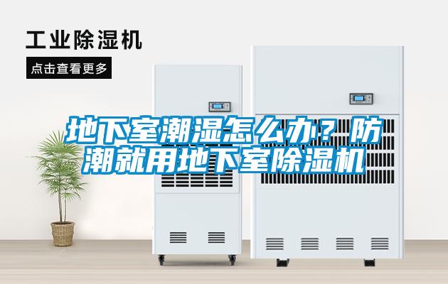 地下室潮濕怎么辦？防潮就用地下室除濕機