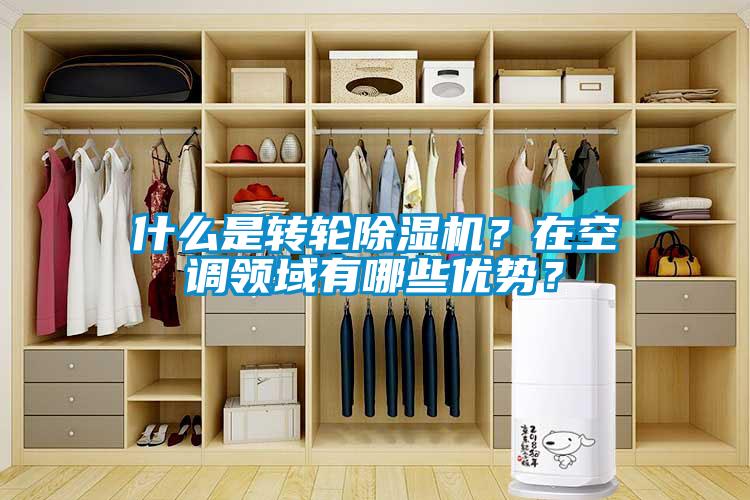 什么是轉輪除濕機？在空調領(lǐng)域有哪些優(yōu)勢？