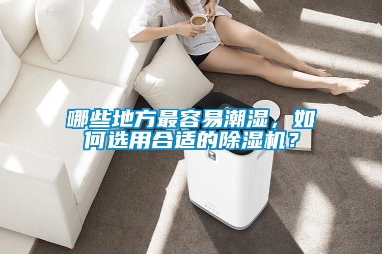 哪些地方最容易潮濕，如何選用合適的除濕機？