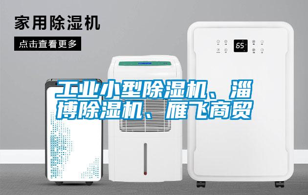 工業(yè)小型除濕機、淄博除濕機、雁飛商貿