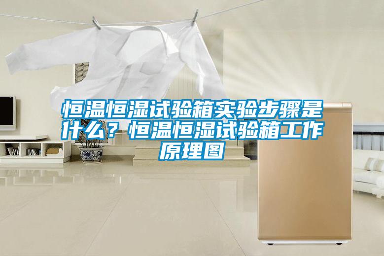 恒溫恒濕試驗箱實(shí)驗步驟是什么？恒溫恒濕試驗箱工作原理圖