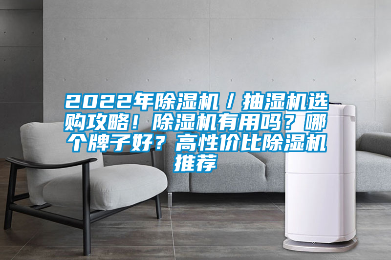 2022年除濕機／抽濕機選購攻略！除濕機有用嗎？哪個(gè)牌子好？高性?xún)r(jià)比除濕機推薦