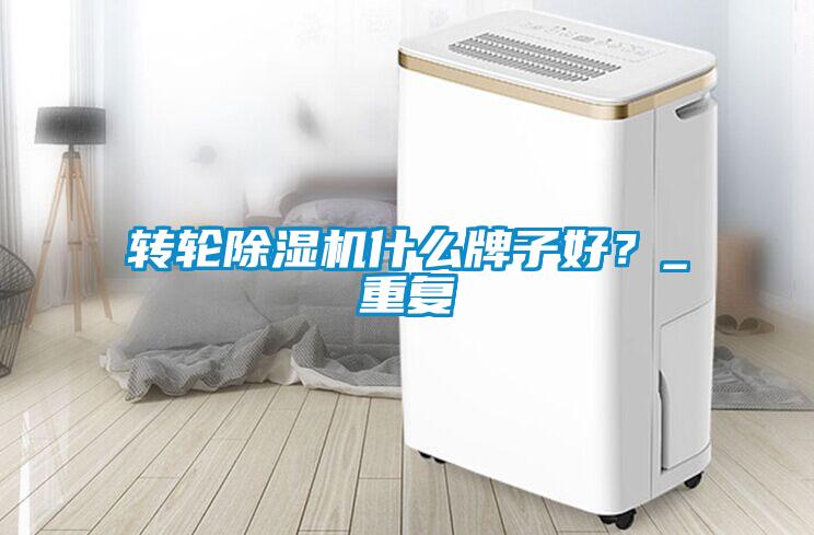 轉輪除濕機什么牌子好？_重復