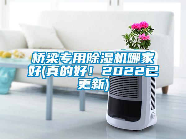 橋梁專(zhuān)用除濕機哪家好(真的好！2022已更新)