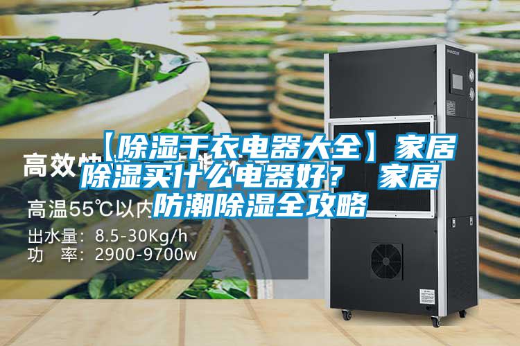 【除濕干衣電器大全】家居除濕買(mǎi)什么電器好？ 家居防潮除濕全攻略