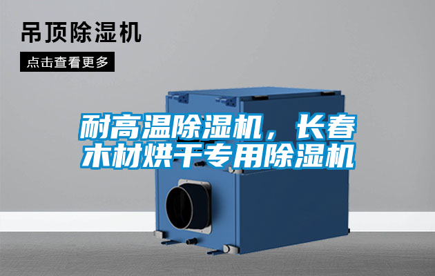 耐高溫除濕機，長(cháng)春木材烘干專(zhuān)用除濕機