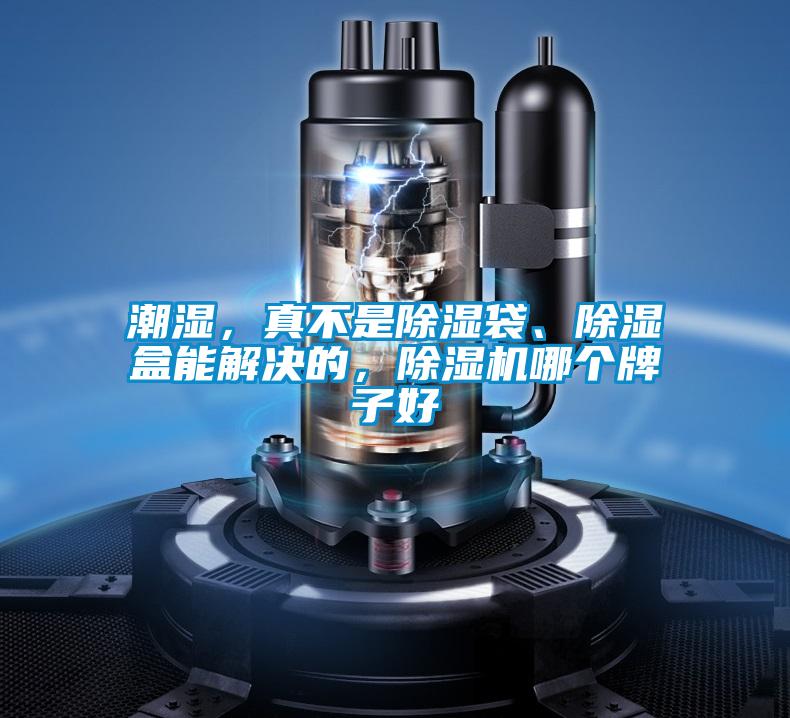潮濕，真不是除濕袋、除濕盒能解決的，除濕機哪個(gè)牌子好