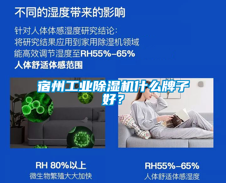 宿州工業(yè)除濕機什么牌子好？