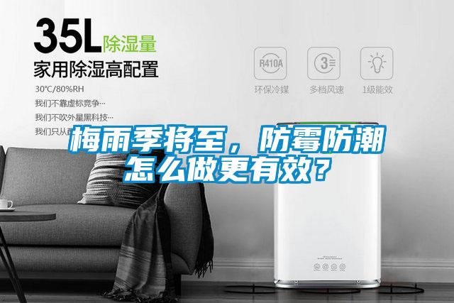 梅雨季將至，防霉防潮怎么做更有效？