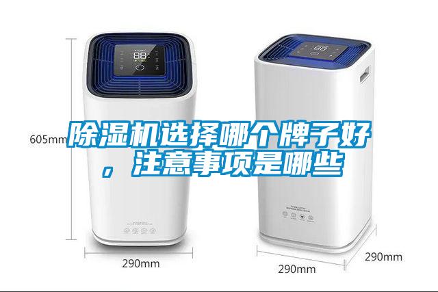 除濕機選擇哪個(gè)牌子好，注意事項是哪些