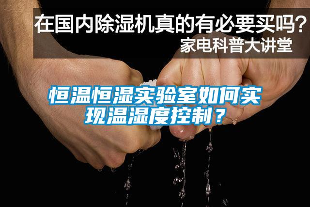恒溫恒濕實(shí)驗室如何實(shí)現溫濕度控制？