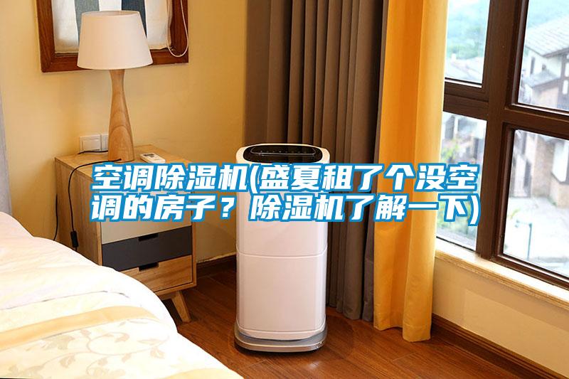 空調除濕機(盛夏租了個(gè)沒(méi)空調的房子？除濕機了解一下)