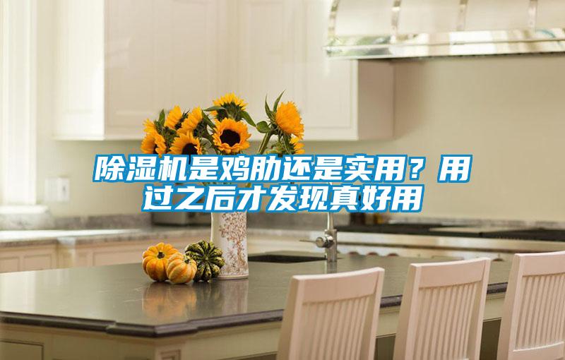 除濕機是雞肋還是實(shí)用？用過(guò)之后才發(fā)現真好用