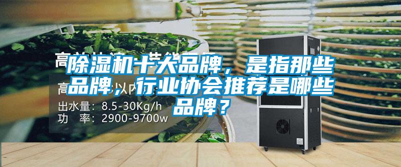 除濕機十大品牌，是指那些品牌，行業(yè)協(xié)會(huì )推薦是哪些品牌？