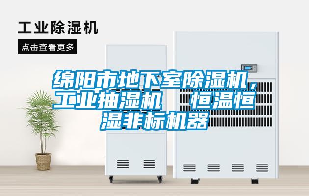 綿陽(yáng)市地下室除濕機，工業(yè)抽濕機  恒溫恒濕非標機器