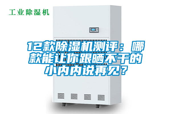 12款除濕機測評：哪款能讓你跟曬不干的小內內說(shuō)再見(jiàn)？