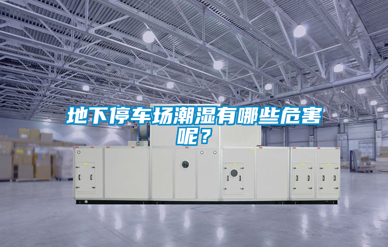 地下停車(chē)場(chǎng)潮濕有哪些危害呢？