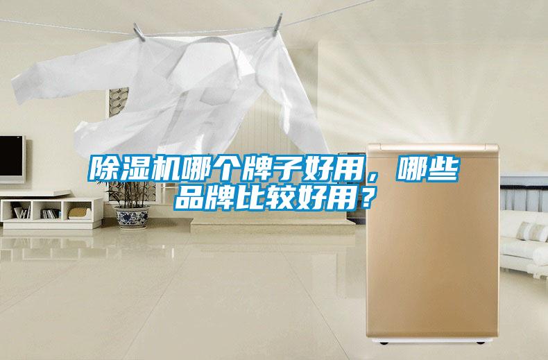 除濕機哪個(gè)牌子好用，哪些品牌比較好用？