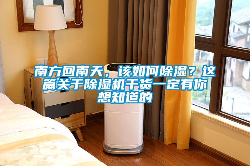 南方回南天，該如何除濕？這篇關(guān)于除濕機干貨一定有你想知道的