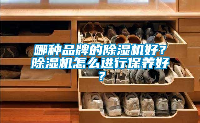 哪種品牌的除濕機好？除濕機怎么進(jìn)行保養好？