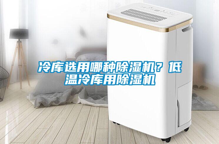 冷庫選用哪種除濕機？低溫冷庫用除濕機