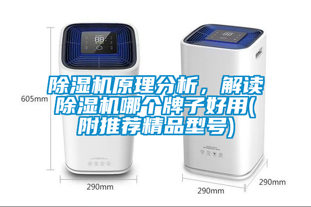 除濕機原理分析，解讀除濕機哪個牌子好用(附推薦精品型號)