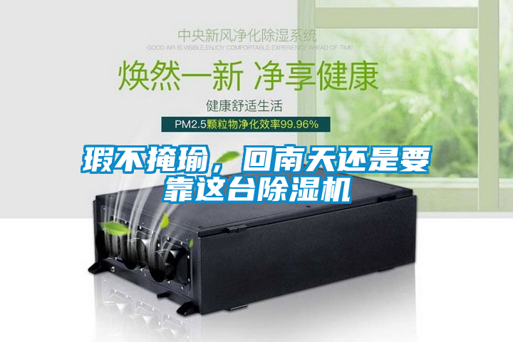 瑕不掩瑜，回南天還是要靠這臺除濕機