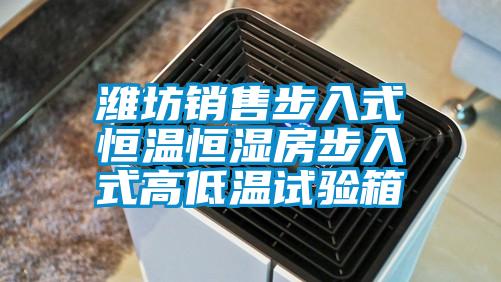 濰坊銷(xiāo)售步入式恒溫恒濕房步入式高低溫試驗箱