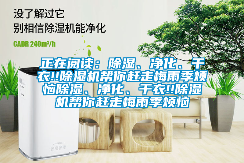 正在閱讀：除濕、凈化、干衣!!除濕機幫你趕走梅雨季煩惱除濕、凈化、干衣!!除濕機幫你趕走梅雨季煩惱