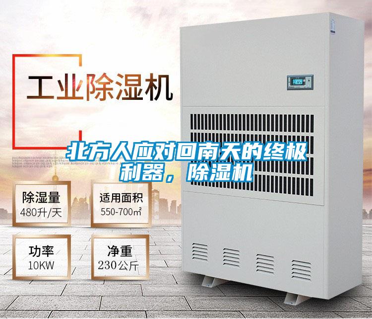 北方人應對回南天的終極利器，除濕機