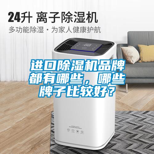 進(jìn)口除濕機品牌都有哪些，哪些牌子比較好？
