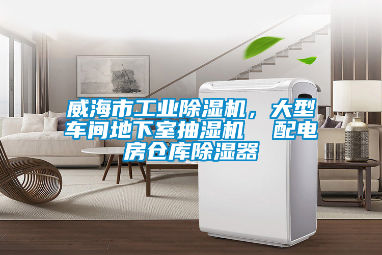 威海市工業(yè)除濕機，大型車(chē)間地下室抽濕機  配電房倉庫除濕器