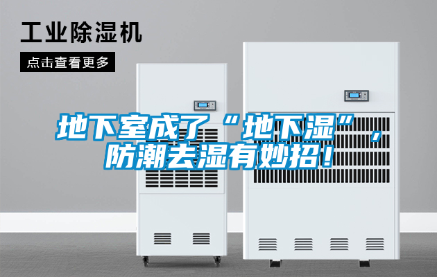 地下室成了“地下濕”，防潮去濕有妙招！