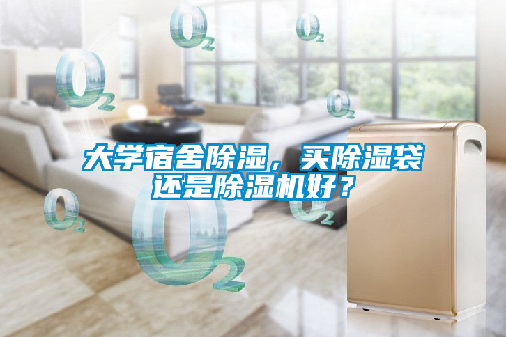 大學(xué)宿舍除濕，買(mǎi)除濕袋還是除濕機好？