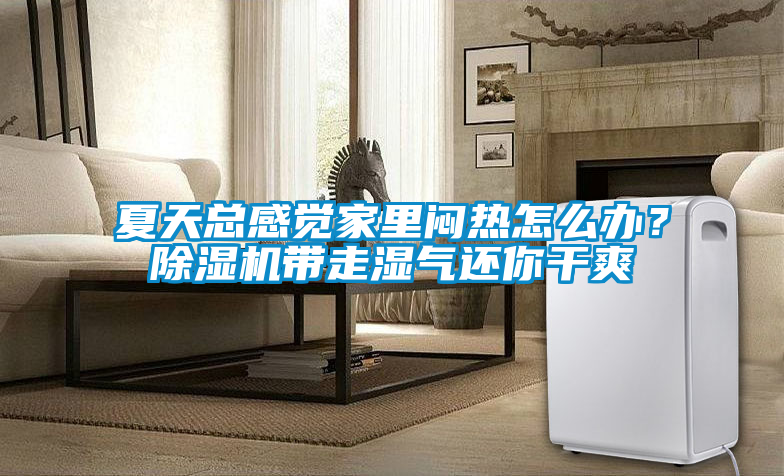 夏天總感覺(jué)家里悶熱怎么辦？除濕機帶走濕氣還你干爽