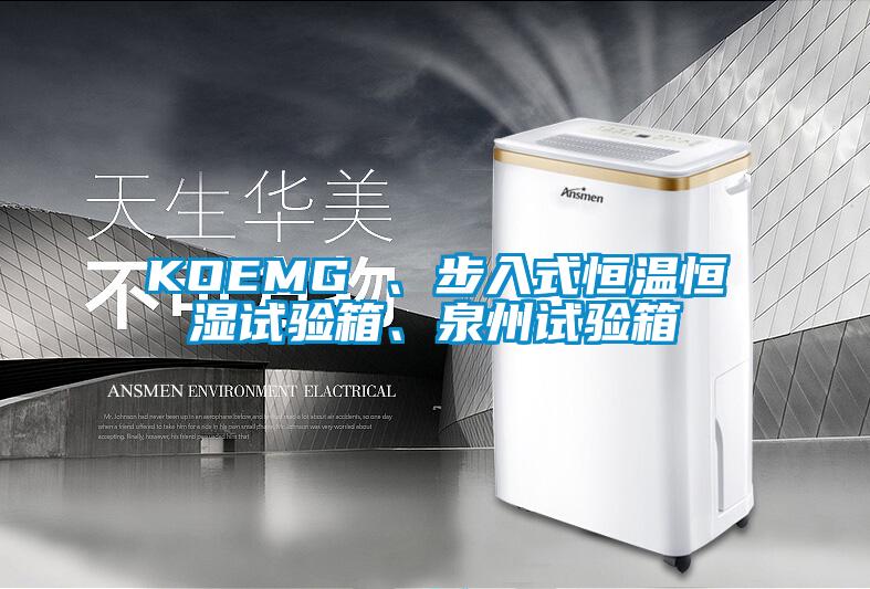 KOEMG 、步入式恒溫恒濕試驗箱、泉州試驗箱