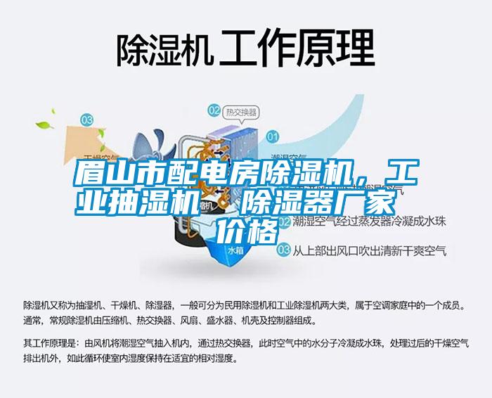 眉山市配電房除濕機，工業(yè)抽濕機  除濕器廠(chǎng)家 價(jià)格