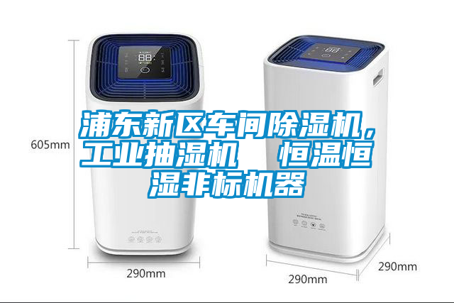 浦東新區車(chē)間除濕機，工業(yè)抽濕機  恒溫恒濕非標機器