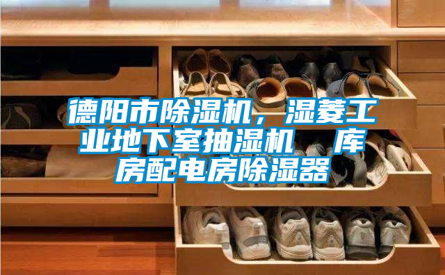 德陽(yáng)市除濕機，濕菱工業(yè)地下室抽濕機  庫房配電房除濕器