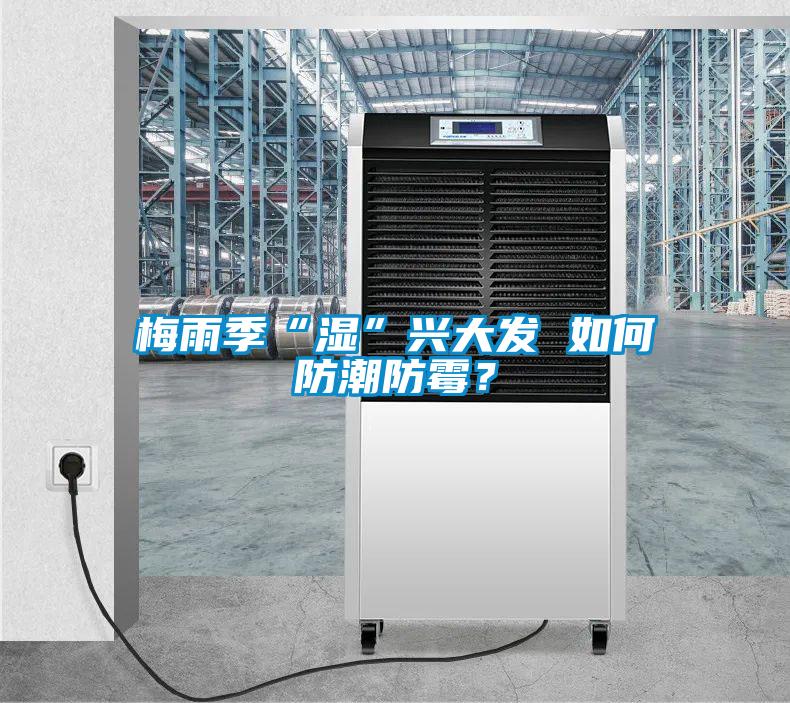 梅雨季“濕”興大發(fā) 如何防潮防霉？