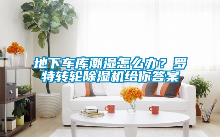 地下車(chē)庫潮濕怎么辦？羅特轉輪除濕機給你答案