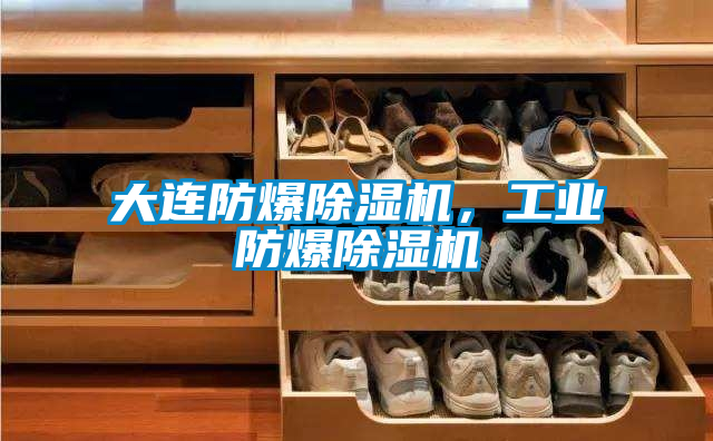 大連防爆除濕機，工業(yè)防爆除濕機