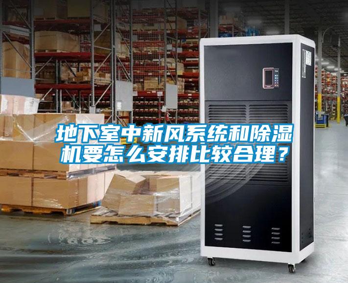 地下室中新風(fēng)系統和除濕機要怎么安排比較合理？