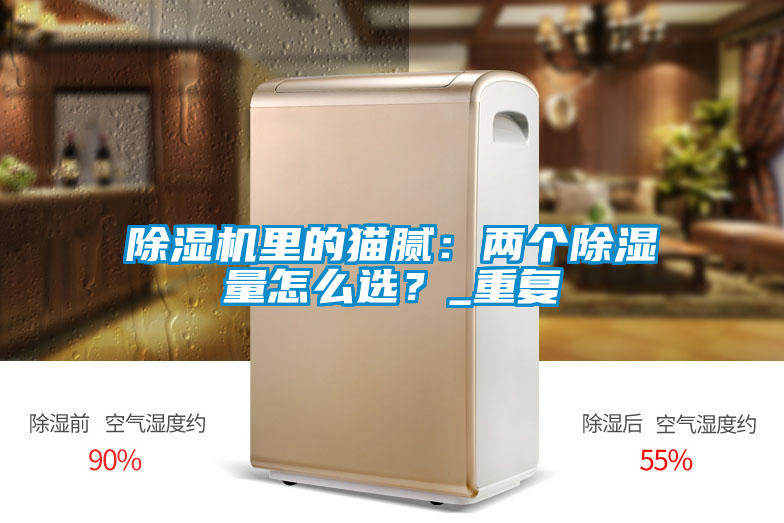 除濕機里的貓膩：兩個(gè)除濕量怎么選？_重復