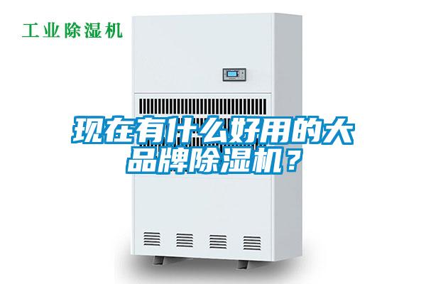 現在有什么好用的大品牌除濕機？
