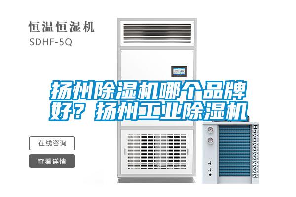 揚州除濕機哪個(gè)品牌好？揚州工業(yè)除濕機