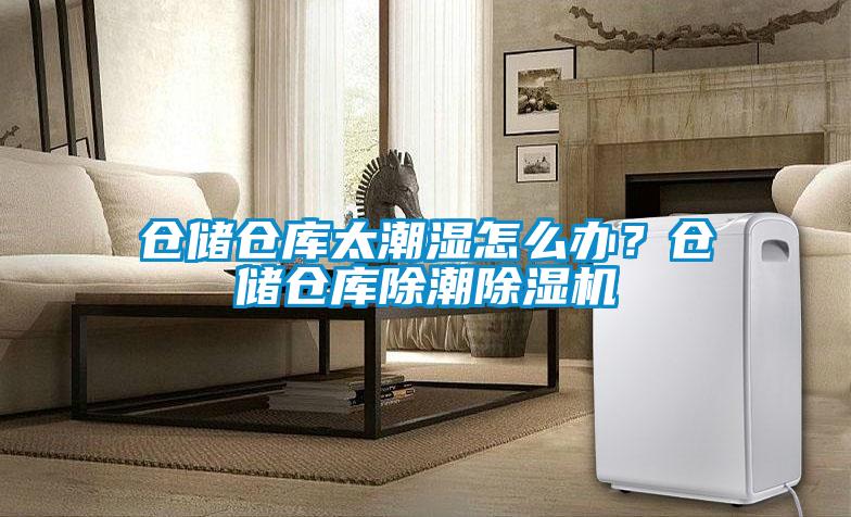 倉儲倉庫太潮濕怎么辦？倉儲倉庫除潮除濕機