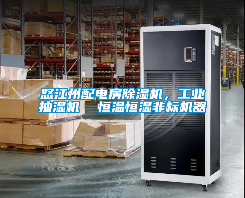 怒江州配電房除濕機，工業(yè)抽濕機  恒溫恒濕非標機器