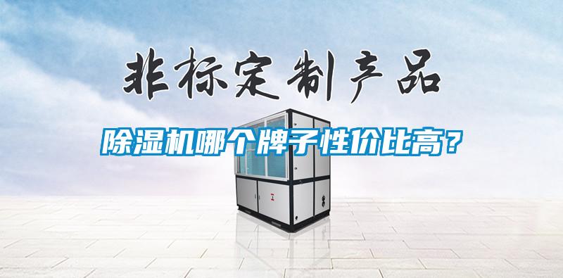 除濕機哪個(gè)牌子性?xún)r(jià)比高？